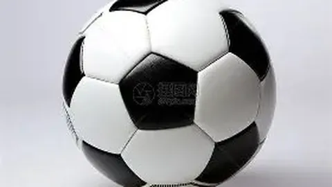 俄足球队四年禁赛处罚发布